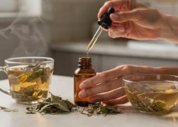 Três plantas poderosas que ajudam a devolver brilho e força aos cabelos de forma natural