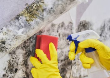 Como acabar com o mofo nas paredes e rejuntes mesmo sem precisar contratar serviço profissional ou quebrar nada