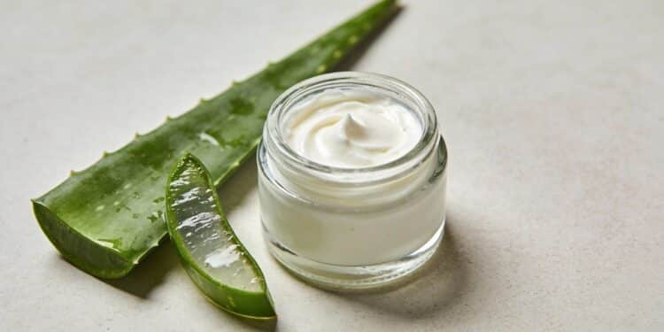 Como preparar um creme facial com aloe vera para ajudar na produção de colágeno e cuidar da pele