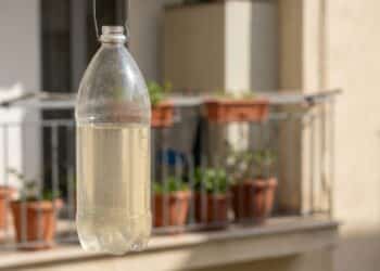 Nem veneno, nem aparelho elétrico: essa mistura barata com vinagre espanta pragas e limpa o ar
