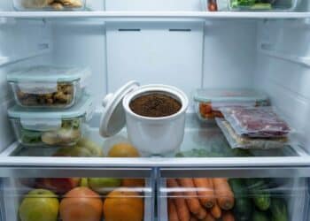 Nem desinfetante, nem bicarbonato: esse truque com café neutraliza o mau cheiro da geladeira e ainda deixa aroma suave