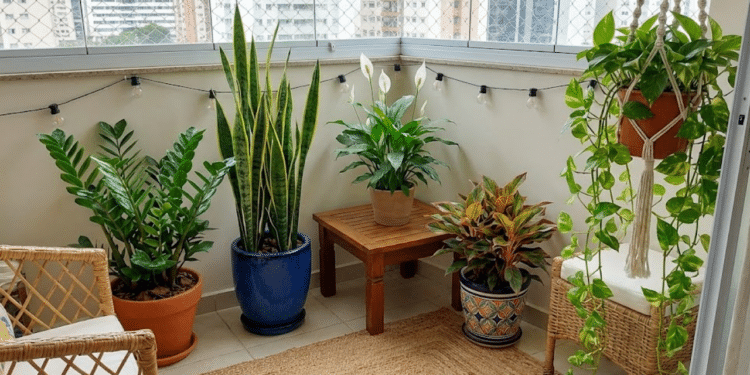Plantas que se adaptam à pouca luz e são perfeitas para apartamentos