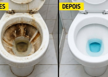 Remova todas as manchas do seu vaso sanitário