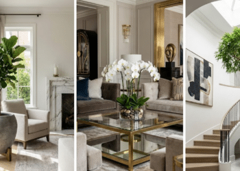 Com plantas de alto impacto visual e cultivo sofisticado, esses três exemplares elevam a decoração da sua casa em 2026