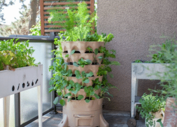 Aprenda a montar uma horta limpa e sem uso de solo