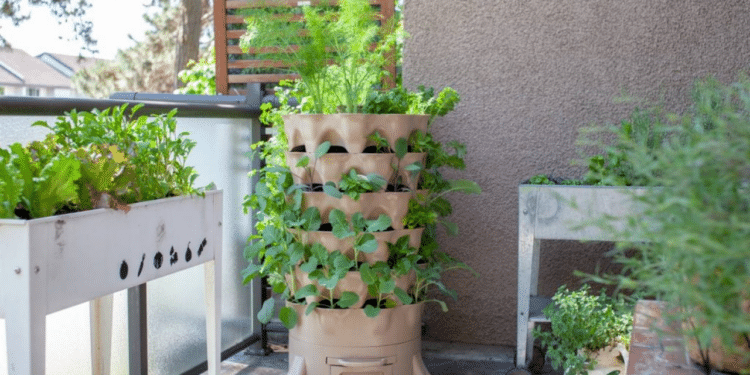 Aprenda a montar uma horta limpa e sem uso de solo