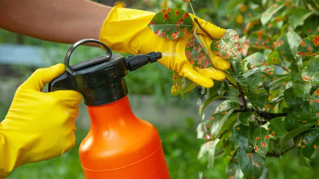 Créditos: depositphotos.com / ADragan