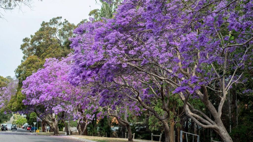 Créditos: depositphotos.com / Daria_Nipot