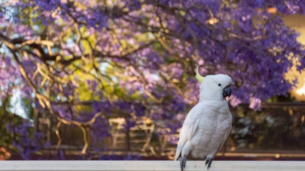 Créditos: depositphotos.com / Daria_Nipot