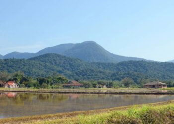 Créditos: depositphotos.com / paulosezio