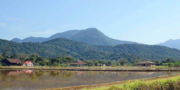 Créditos: depositphotos.com / paulosezio