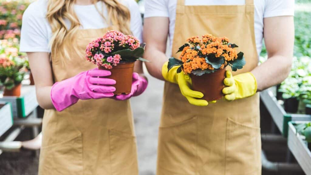 Créditos: depositphotos.com / SashaKhalabuzar