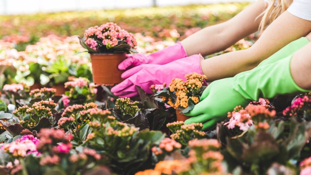 Créditos: depositphotos.com / SashaKhalabuzar