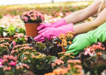 Créditos: depositphotos.com / SashaKhalabuzar