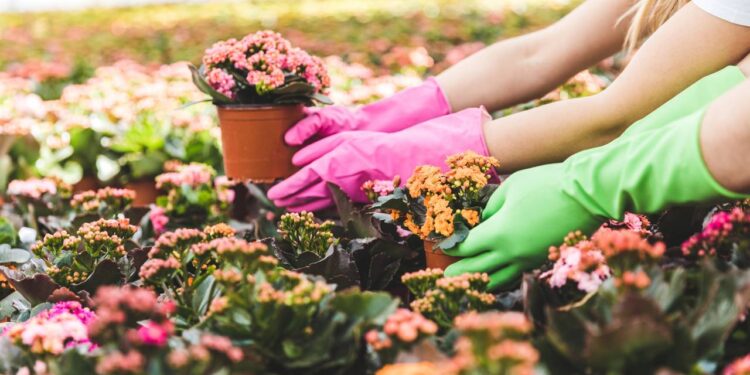 Créditos: depositphotos.com / SashaKhalabuzar