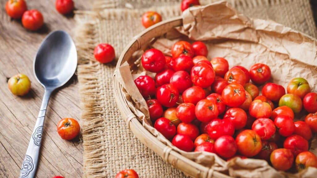 Créditos: depositphotos.com / ThaiThu