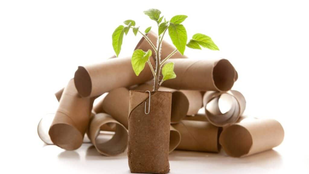 Créditos: depositphotos.com / MonaMakela