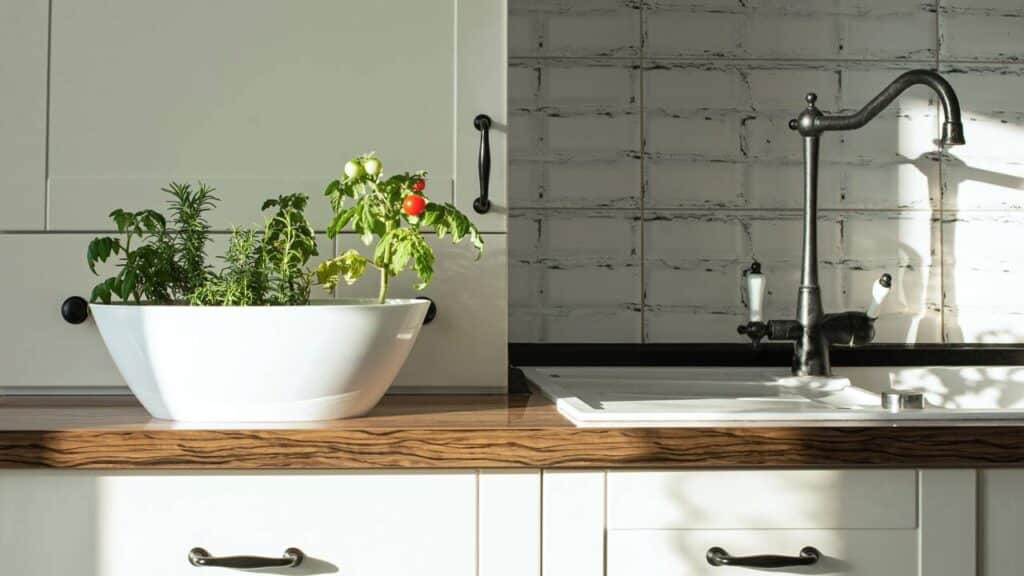 Tomates-cereja e alecrim cultivados em um vaso na horta caseira, em uma cozinha branca de estilo escandinavo.