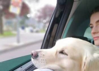 Filha de ex-jogador de futebol e modelo de renome tem morte trágica aos 21 anos