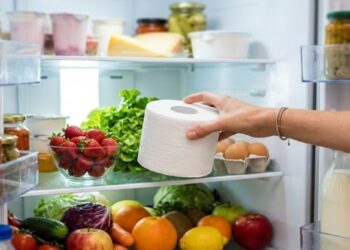 Você nunca imaginou que papel higiênico na geladeira poderia fazer tanta diferença no eletrodoméstico utilizando esse truque
