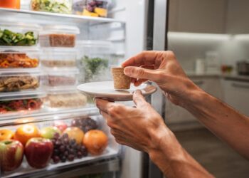 Adeus geladeira com cheiro ruim: esses cuidados simples evitam bolor e umidade