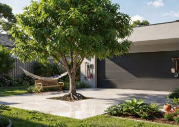 6 árvores perfeitas para criar uma sombra bonita e sem sujeira no seu quintal