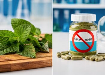 Anvisa proíbe suplementos em cápsulas feitos com pó de planta popular no país