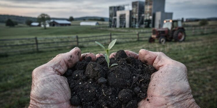 Fazendeiro de 86 anos rejeita R$ 85 milhões para vender terreno a empresa de tecnologia