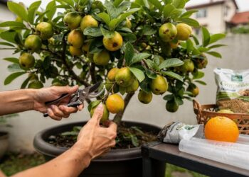 Dê adeus ao pé de laranja: esta árvore cresce fácil em qualquer quintal e surpreende na quantidade de vitamina C