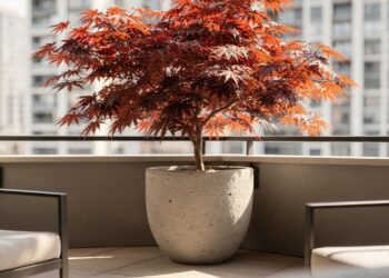 A árvore que muda de cor o ano todo e pode ser cultivada em vasos e varandas pequenas