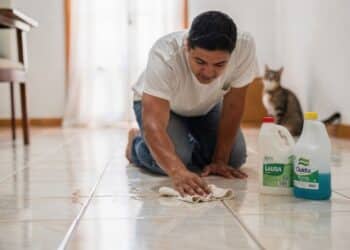 Com esses ingredientes você pode se livrar do cheiro de urina de gato e ainda impedir que ele volte a fazer no mesmo lugar