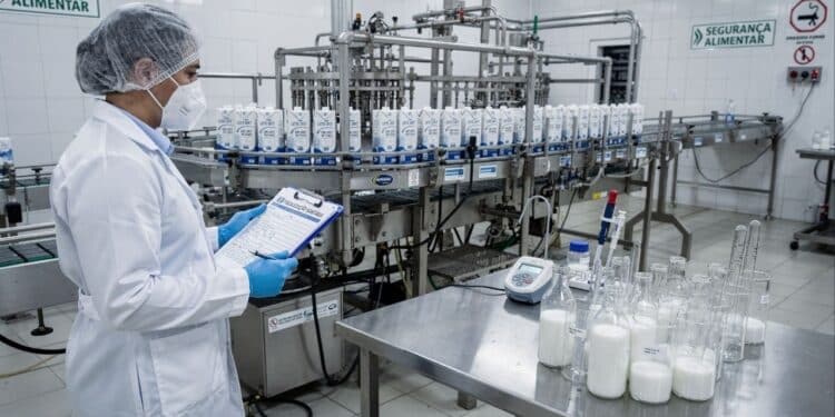 Venda de leite popular é proibida pela Anvisa após fraude e órgão emite alerta urgente aos consumidores