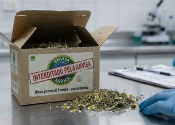 Anvisa proíbe mais de 200 unidades de chá contaminado por insetos que pode estar no armário da sua cozinha