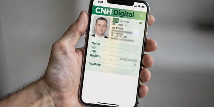 Nova lei faz com que carteiras de habilitação de motoristas desta lista sejam revogadas de forma definitiva