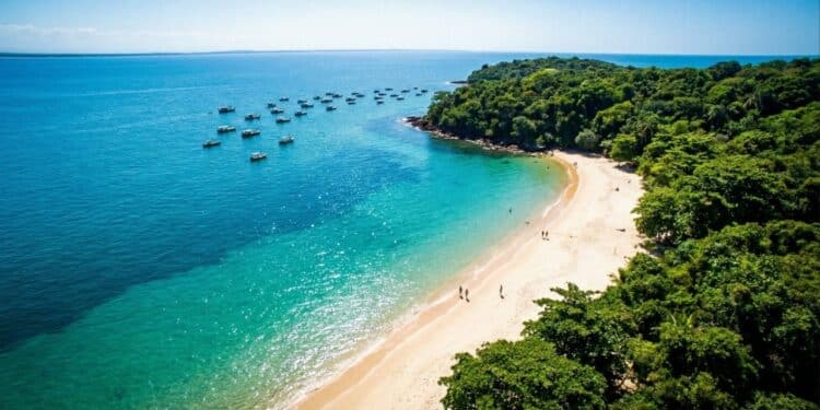 Praia do Nordeste é eleita a melhor do mundo em ranking e vira destaque entre turistas internacionais