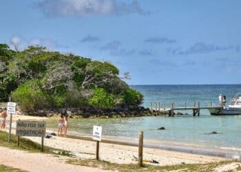 Praia do Nordeste é eleita a melhor do mundo em ranking internacional e atrai turistas de vários países