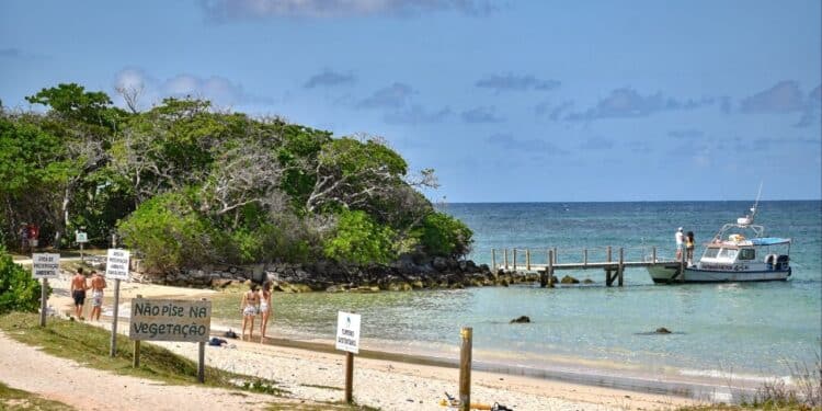 Praia do Nordeste é eleita a melhor do mundo em ranking internacional e atrai turistas de vários países