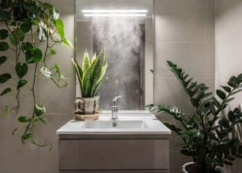 5 plantas ideais para banheiro sem janela que sobrevivem com pouca luz, purificam o ar e resistem à umidade