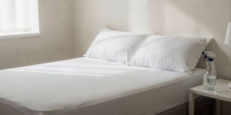 Adeus cheiro de suor: essa receita com vinagre limpa travesseiros com segurança e ainda ajuda a clarear manchas