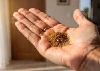 João Bidu compartilha truque da canela atrás da orelha vira feromônio natural e atrai amor nos blocos de Carnaval