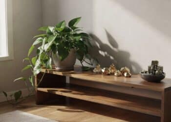 Posição certa no canto da riqueza ajuda a atrair dinheiro e evita perdas financeiras em casa