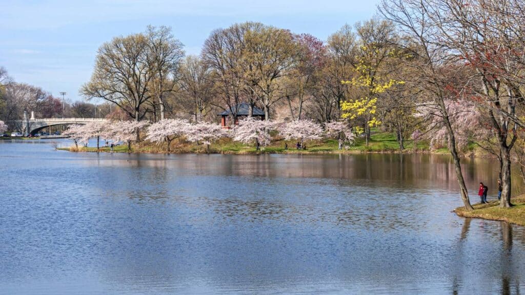 Créditos: depositphotos.com / andykazie