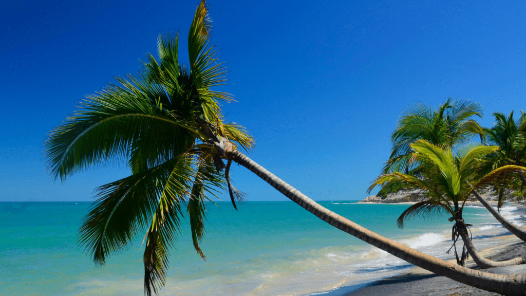 A praia do Nordeste conhecida pelo “efeito espelho” nas águas calmas revela piscinas naturais surpreendentes