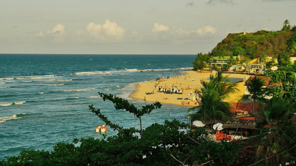 Segundo ranking, esta praia do Nordeste é a melhor do mundo para admirar golfinhos em águas cristalinas