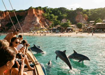 Segundo ranking, esta praia do Nordeste é a melhor do mundo para admirar golfinhos em águas cristalinas