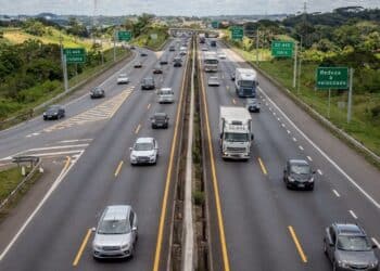 Nova SC-445 deve reduzir gargalos e beneficiar logística com investimentos de quase R$ 44 milhões entre cidades do Sul