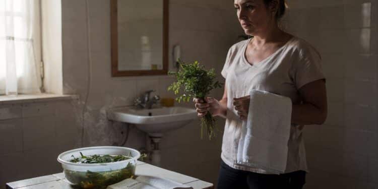 Famosos conselhos de Márcia Sensitiva revelam quinta-feira (05/02) como o dia ideal para atrair dinheiro