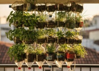 Horta em garrafa PET que precisa de só 3 horas de sol e transforma sacadas de 1 m² em mini jardins comestíveis