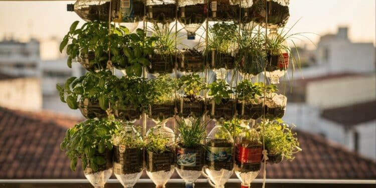 Horta em garrafa PET que precisa de só 3 horas de sol e transforma sacadas de 1 m² em mini jardins comestíveis