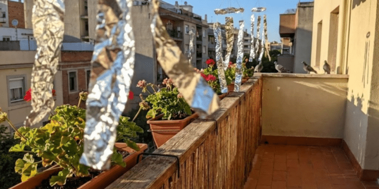 Use papel-alumínio para criar uma barreira visual na sua sacada